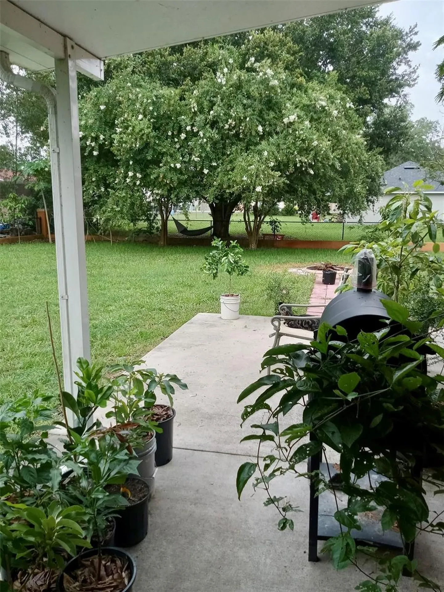 13315 Daffodil Way Astatula FL 34705
