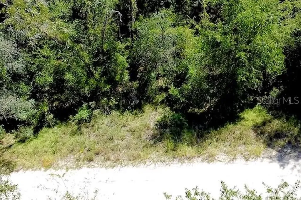 0 NE 138th Terrace Williston FL 32696