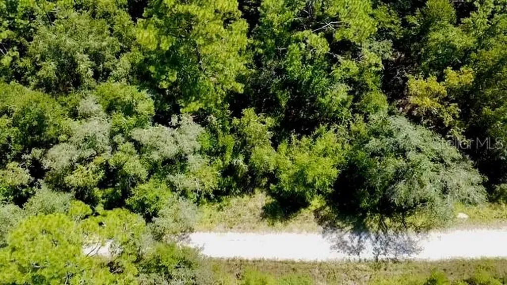 0 NE 138th Terrace Williston FL 32696