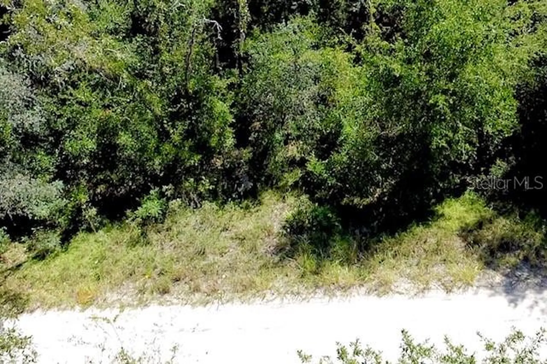 0 NE 138th Terrace Williston FL 32696