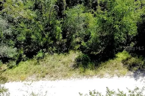 0 NE 138th Terrace Williston FL 32696