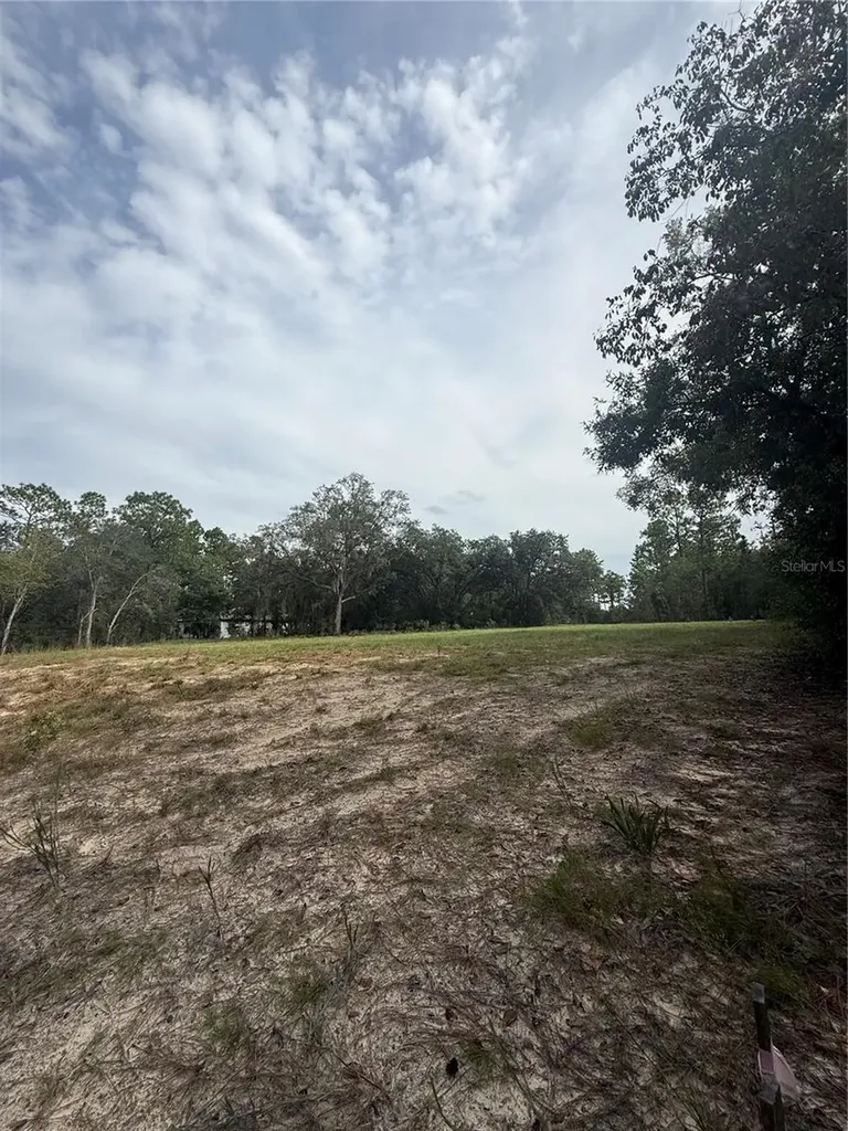 813 W Haguer Place Dunnellon FL 34434