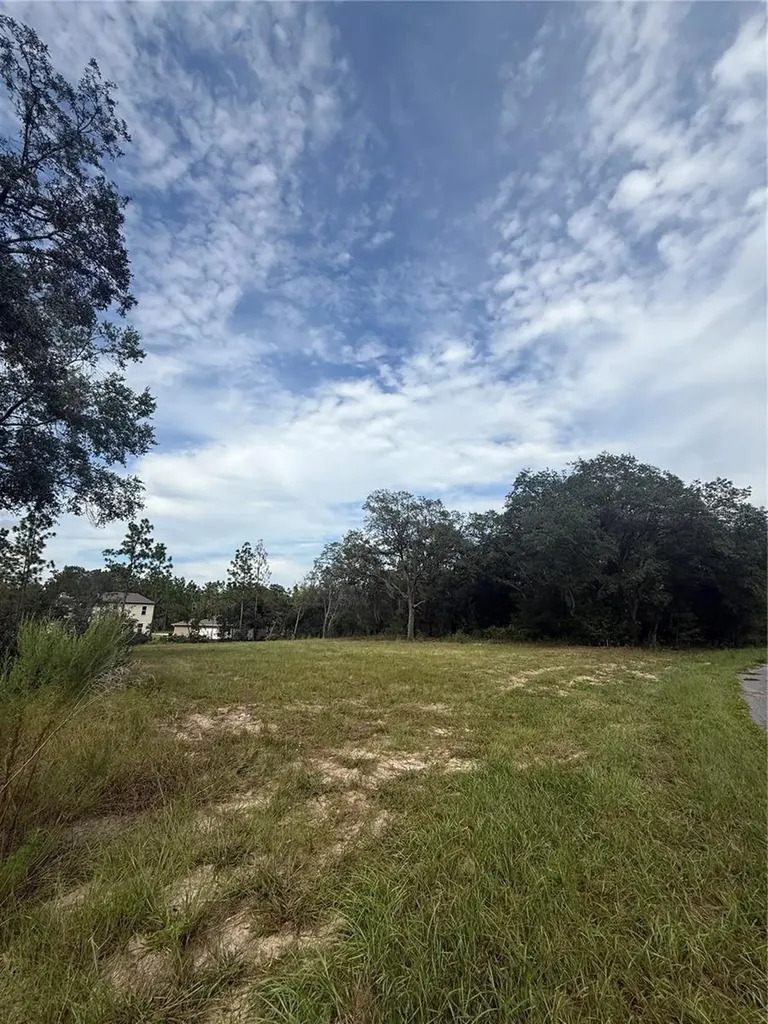 813 W Haguer Place Dunnellon FL 34434