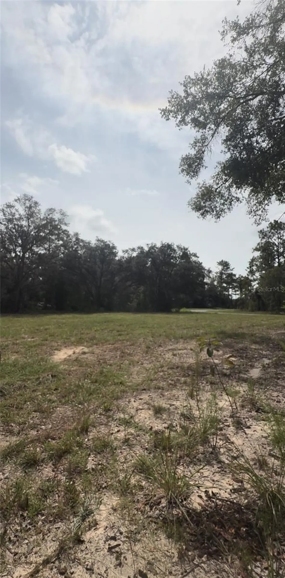 813 W Haguer Place Dunnellon FL 34434