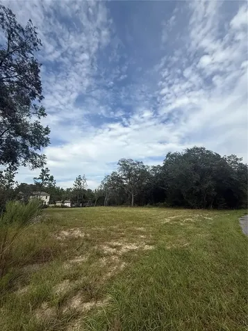 813 W Haguer Place Dunnellon FL 34434
