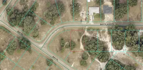 Bay Place Court Ocklawaha FL 32179