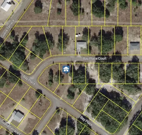 Bay Place Court Ocklawaha FL 32179