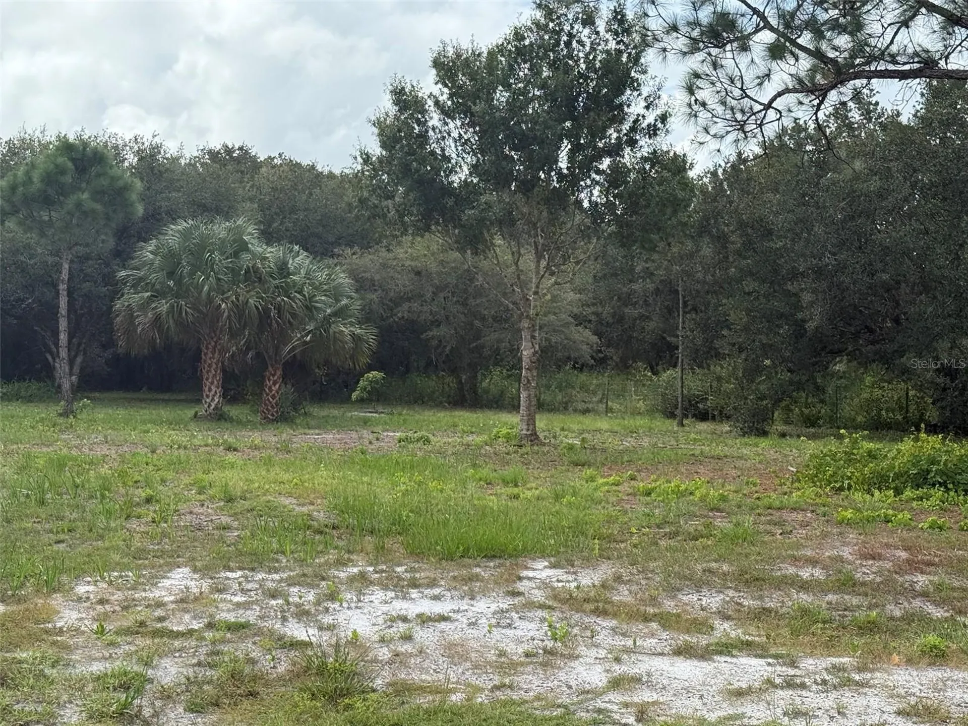 15134 NW 306th Street Okeechobee FL 34972