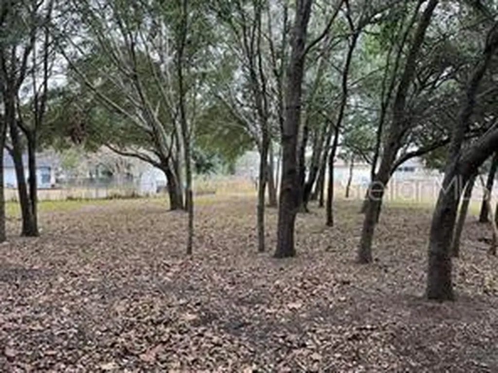 Lot 30 Hemlock Radial Court Ocala FL 34472
