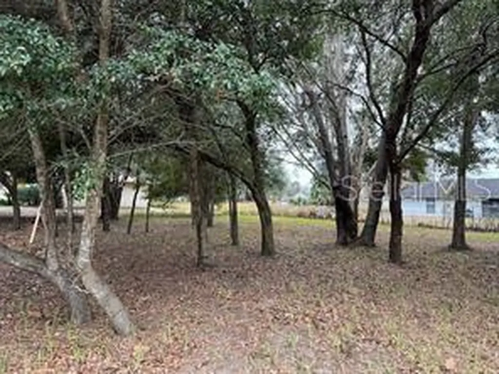 Lot 30 Hemlock Radial Court Ocala FL 34472