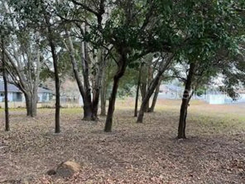 Lot 30 Hemlock Radial Court Ocala FL 34472