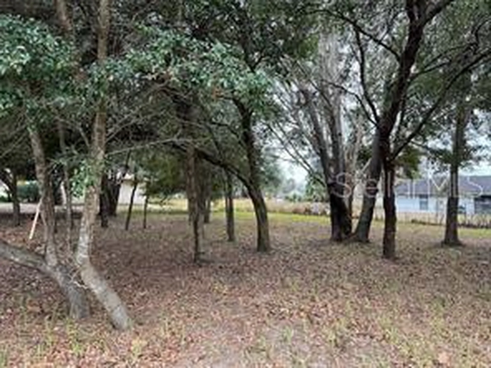 Lot 30 Hemlock Radial Court Ocala FL 34472