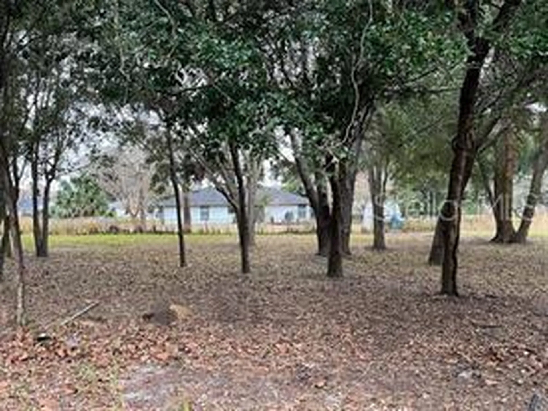Lot 30 Hemlock Radial Court Ocala FL 34472