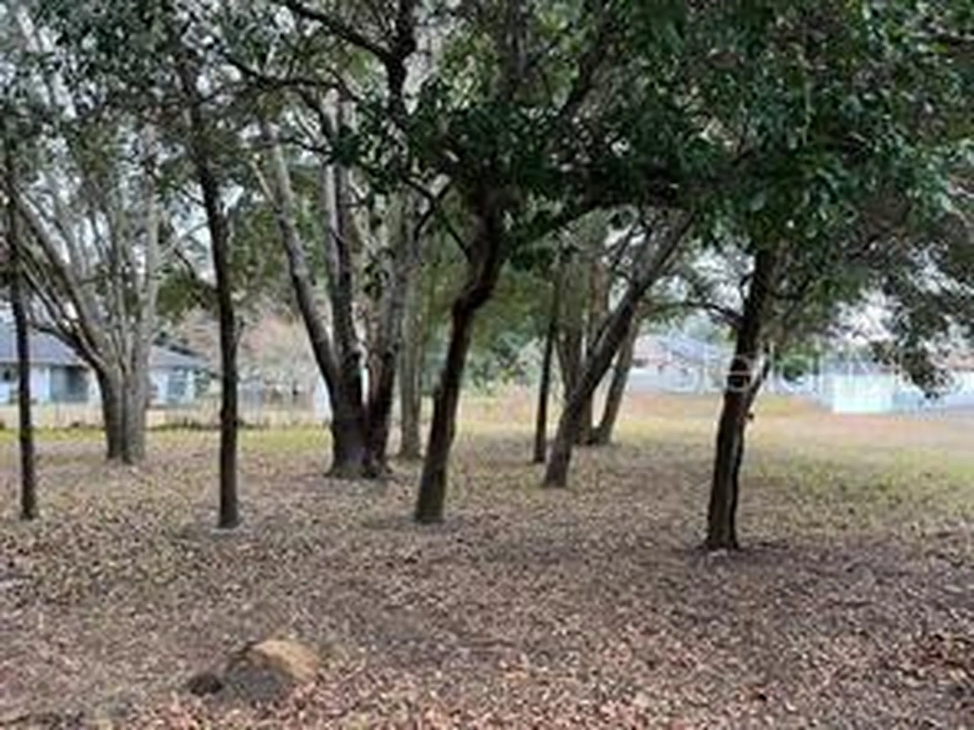 Lot 30 Hemlock Radial Court Ocala FL 34472