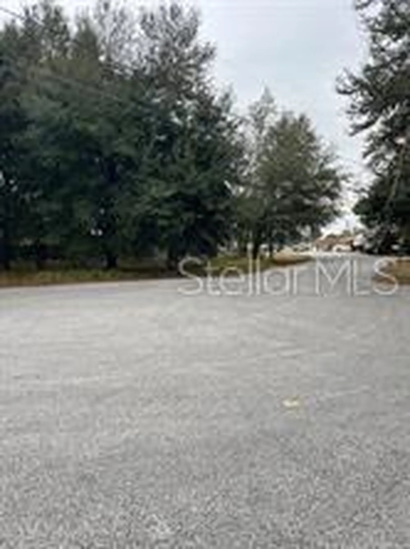 Lot 30 Hemlock Radial Court Ocala FL 34472