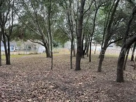 Lot 30 Hemlock Radial Court Ocala FL 34472