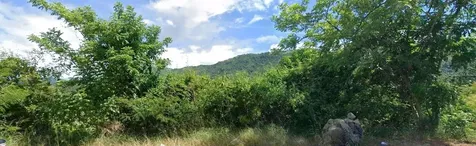 14 Pr Coamo PR 00769