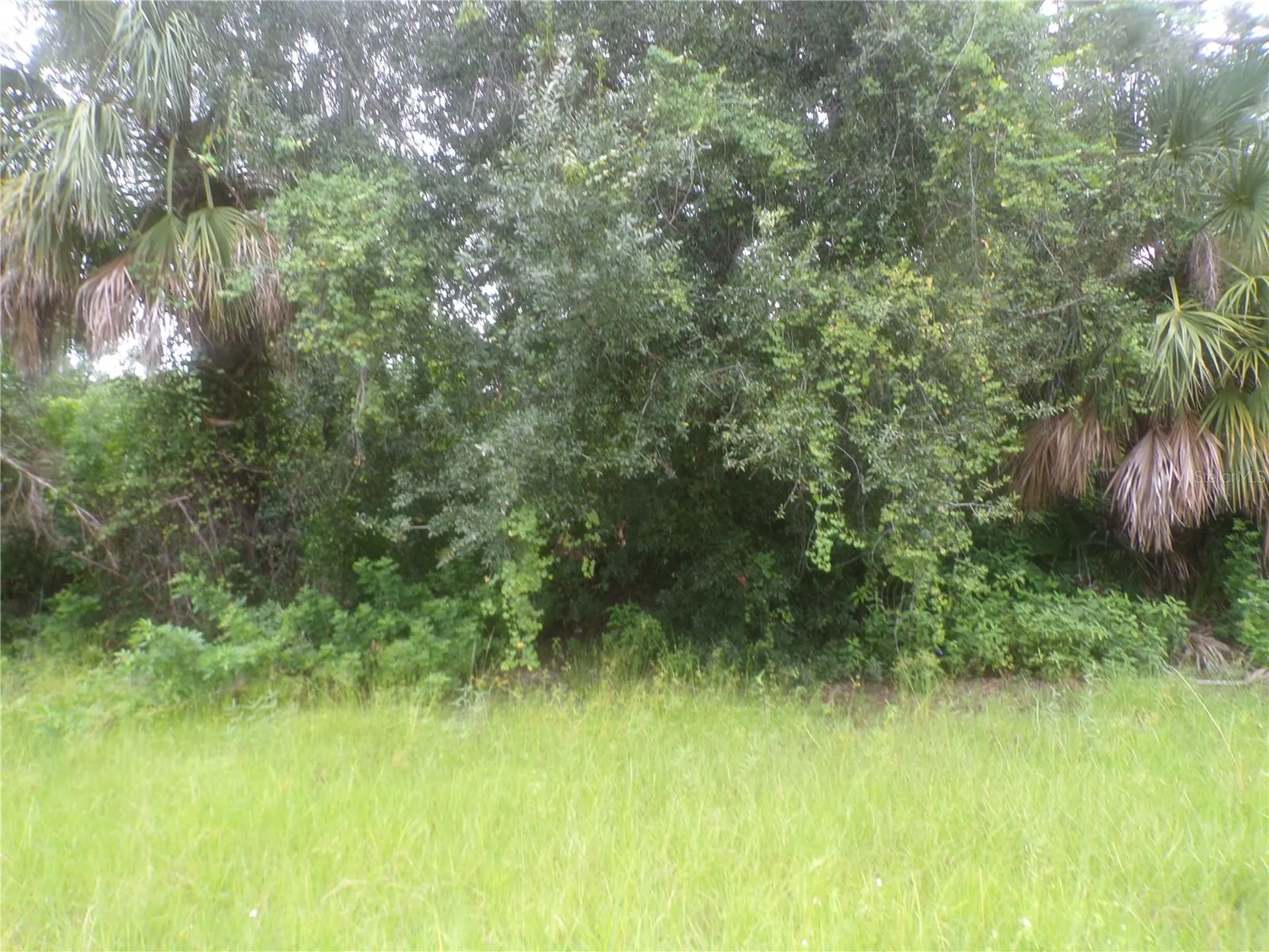 Ponce De Leon Boulevard North Port FL 34291