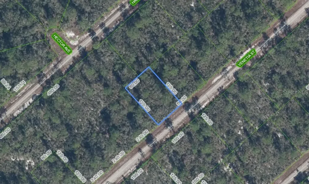3535 Venetia Street Lake Placid FL 33852