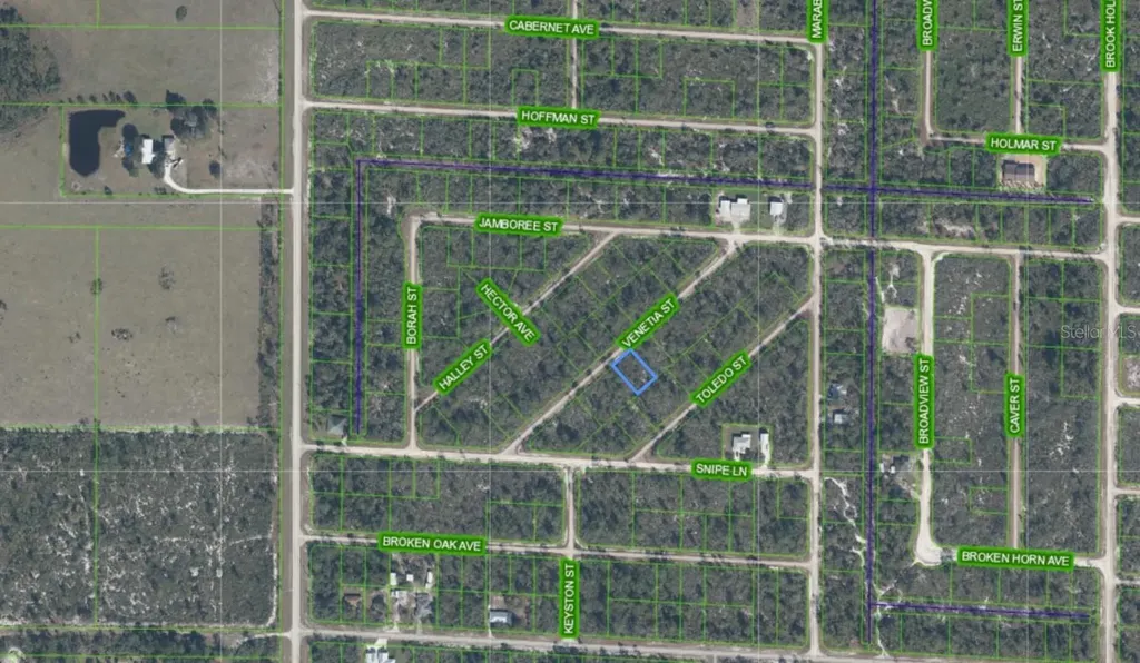 3535 Venetia Street Lake Placid FL 33852