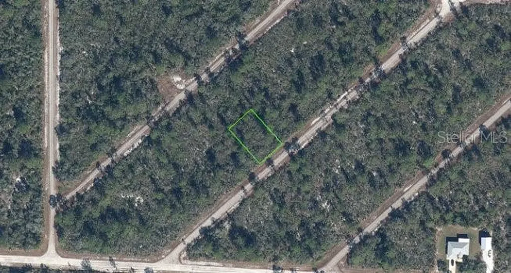 3535 Venetia Street Lake Placid FL 33852