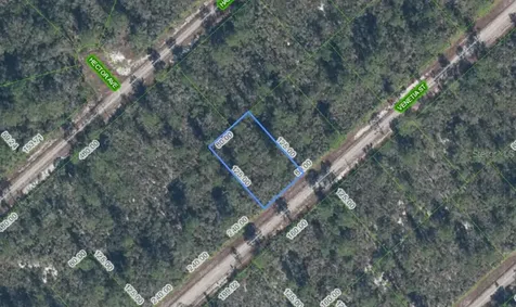 3535 Venetia Street Lake Placid FL 33852