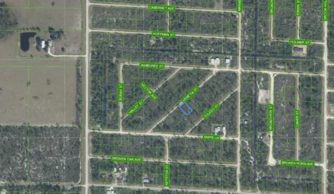 3535 Venetia Street Lake Placid FL 33852