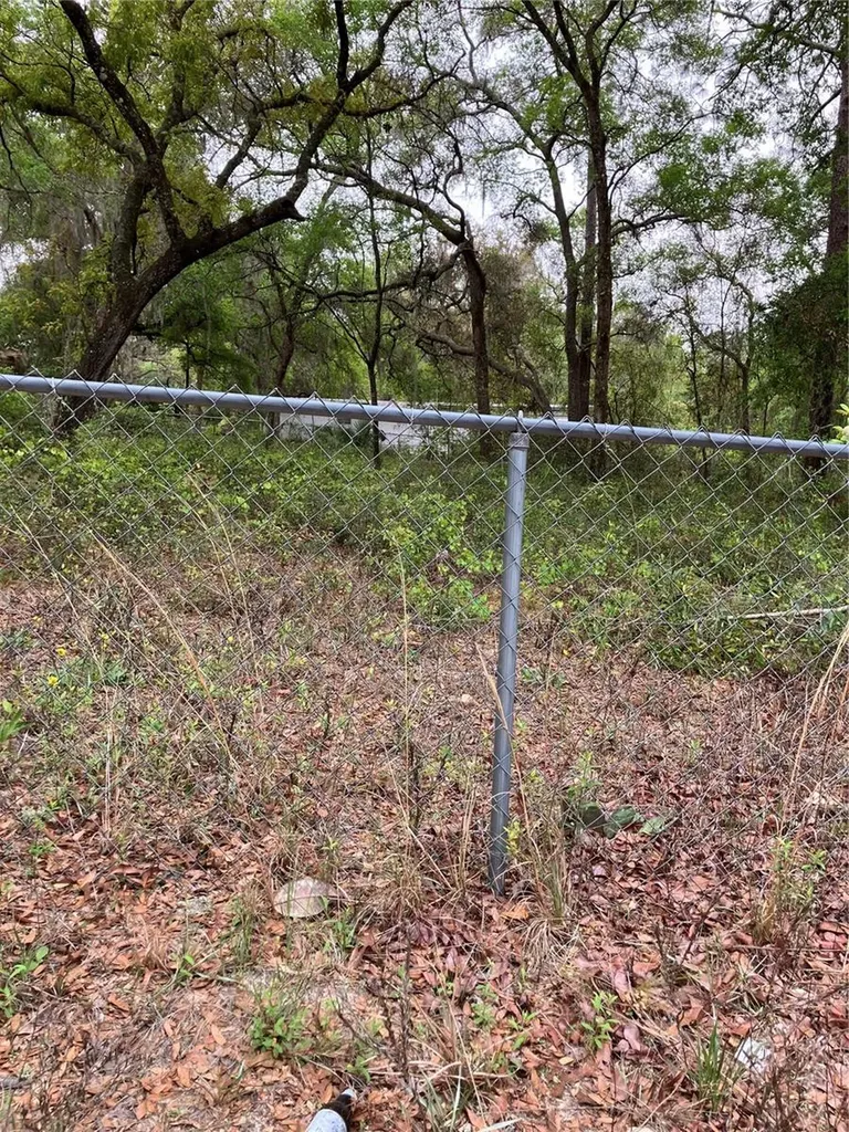 Tbd Lot 58 SE 1st Lane Silver Springs FL 34488