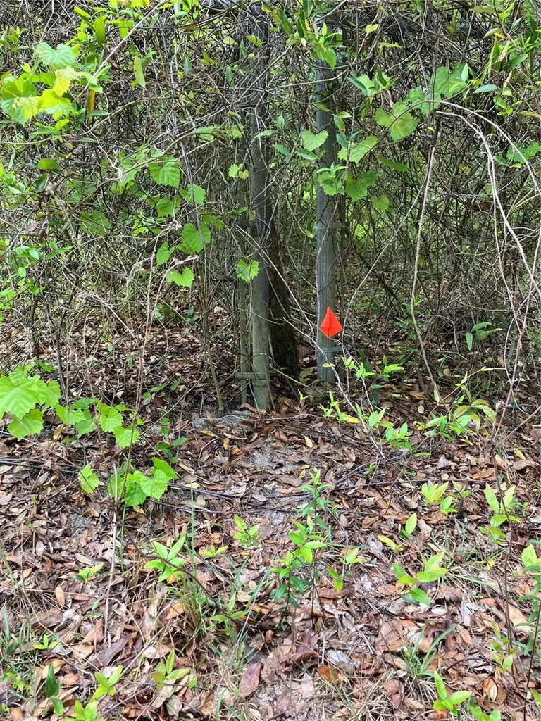 Tbd Lot 58 SE 1st Lane Silver Springs FL 34488