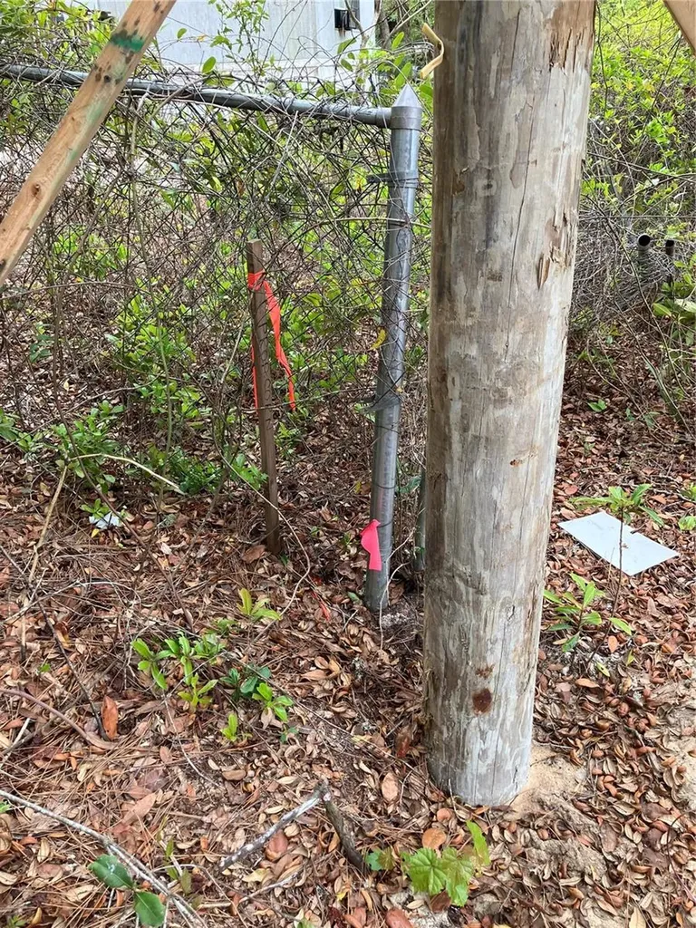 Tbd Lot 58 SE 1st Lane Silver Springs FL 34488