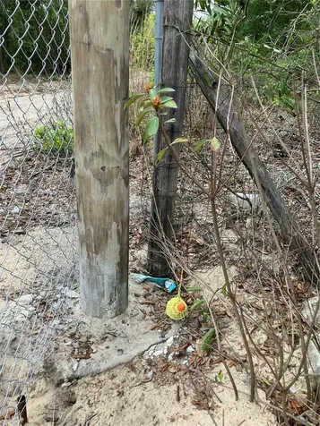 Tbd Lot 58 SE 1st Lane Silver Springs FL 34488