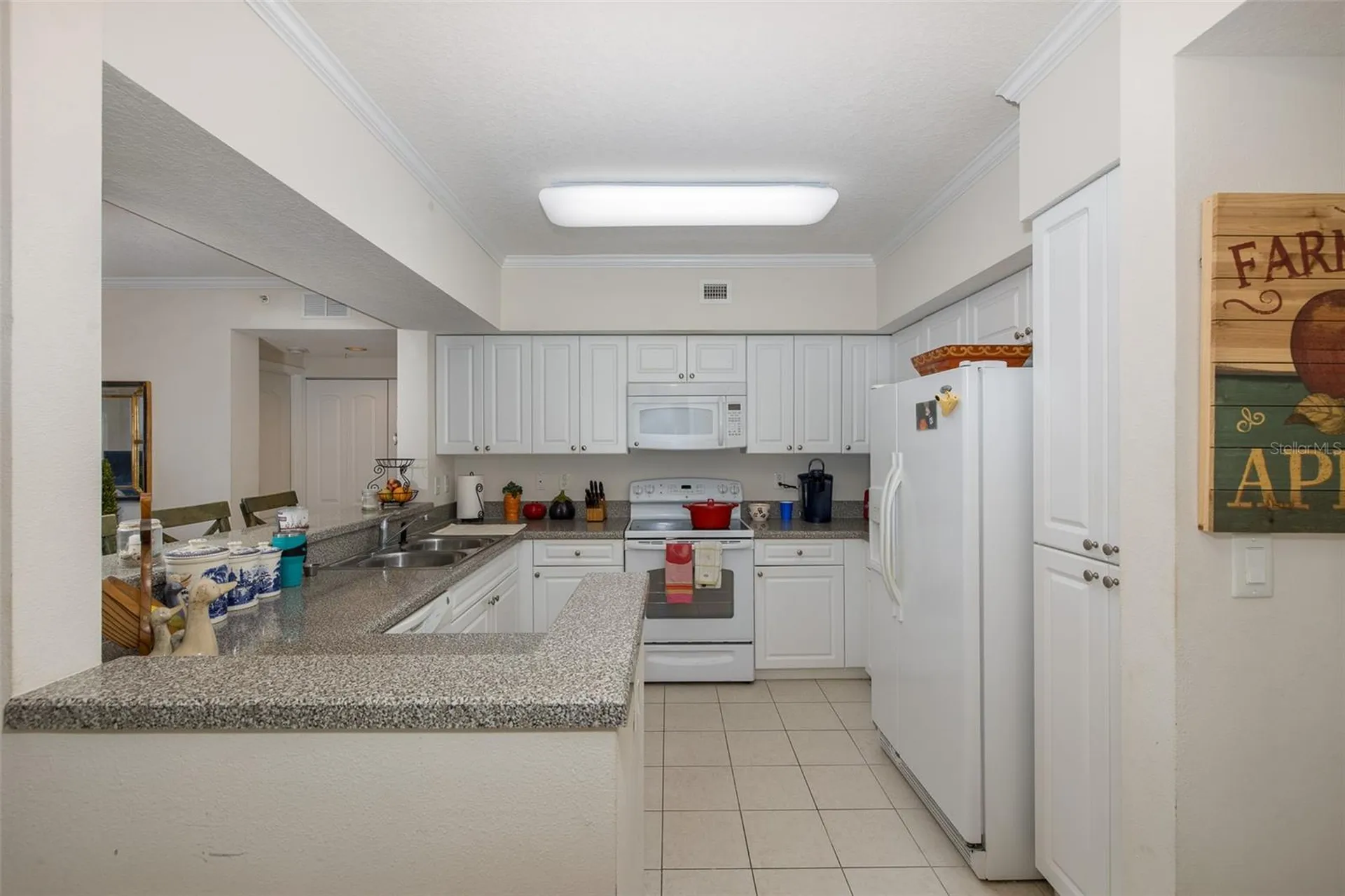 4516 Seagull Drive New Port Richey FL 34652