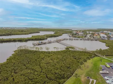 4516 Seagull Drive New Port Richey FL 34652
