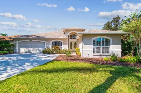 19417 Morden Blush Drive Lutz FL 33558