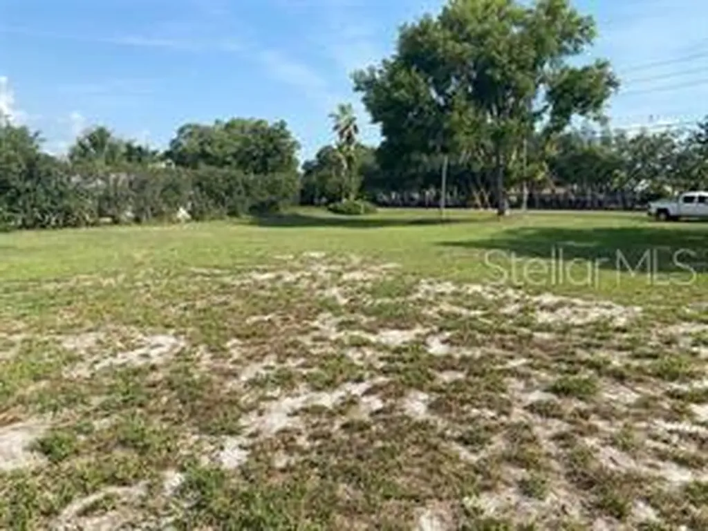 County Road 48 Yalaha FL 34797