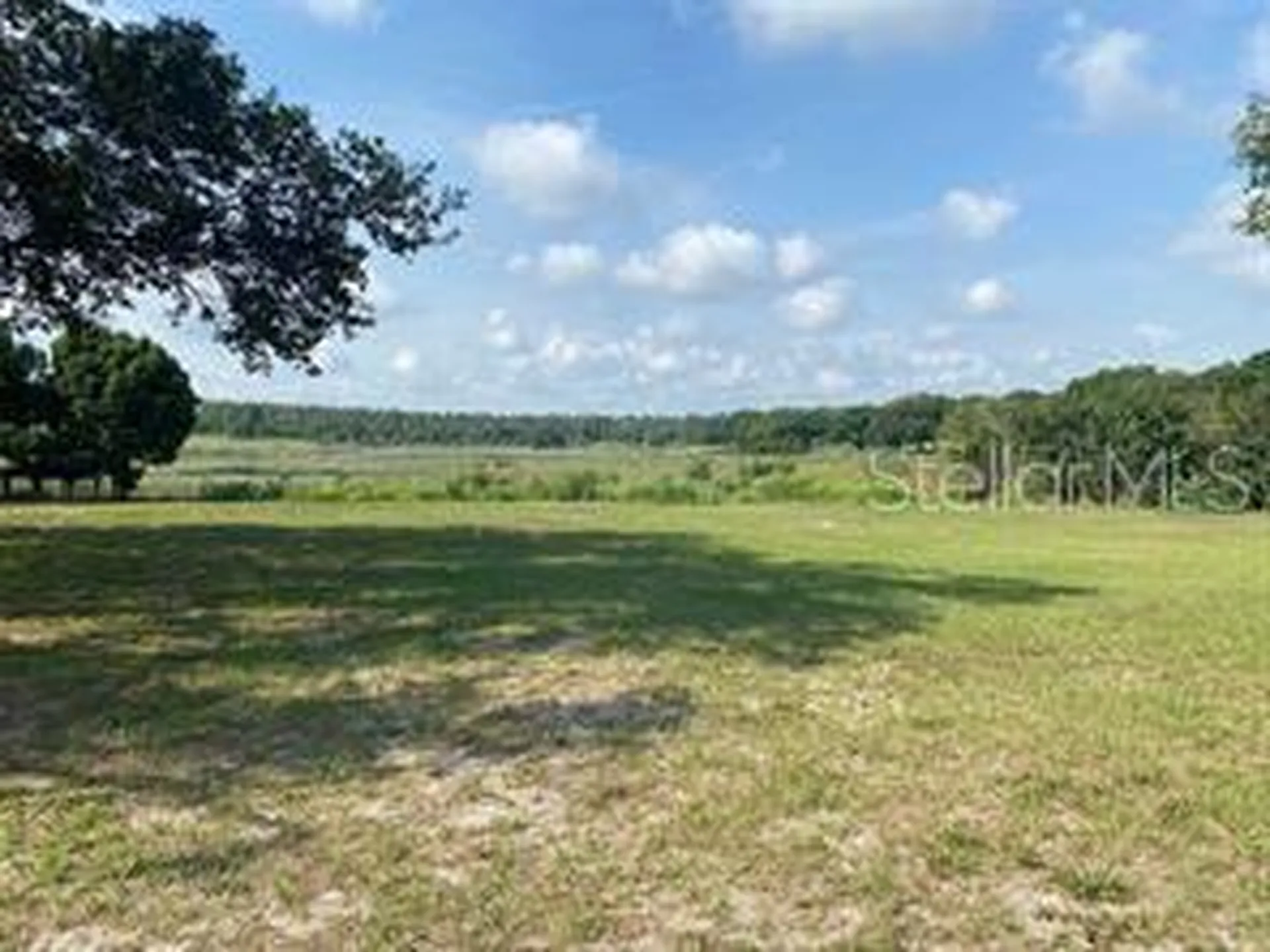 County Road 48 Yalaha FL 34797
