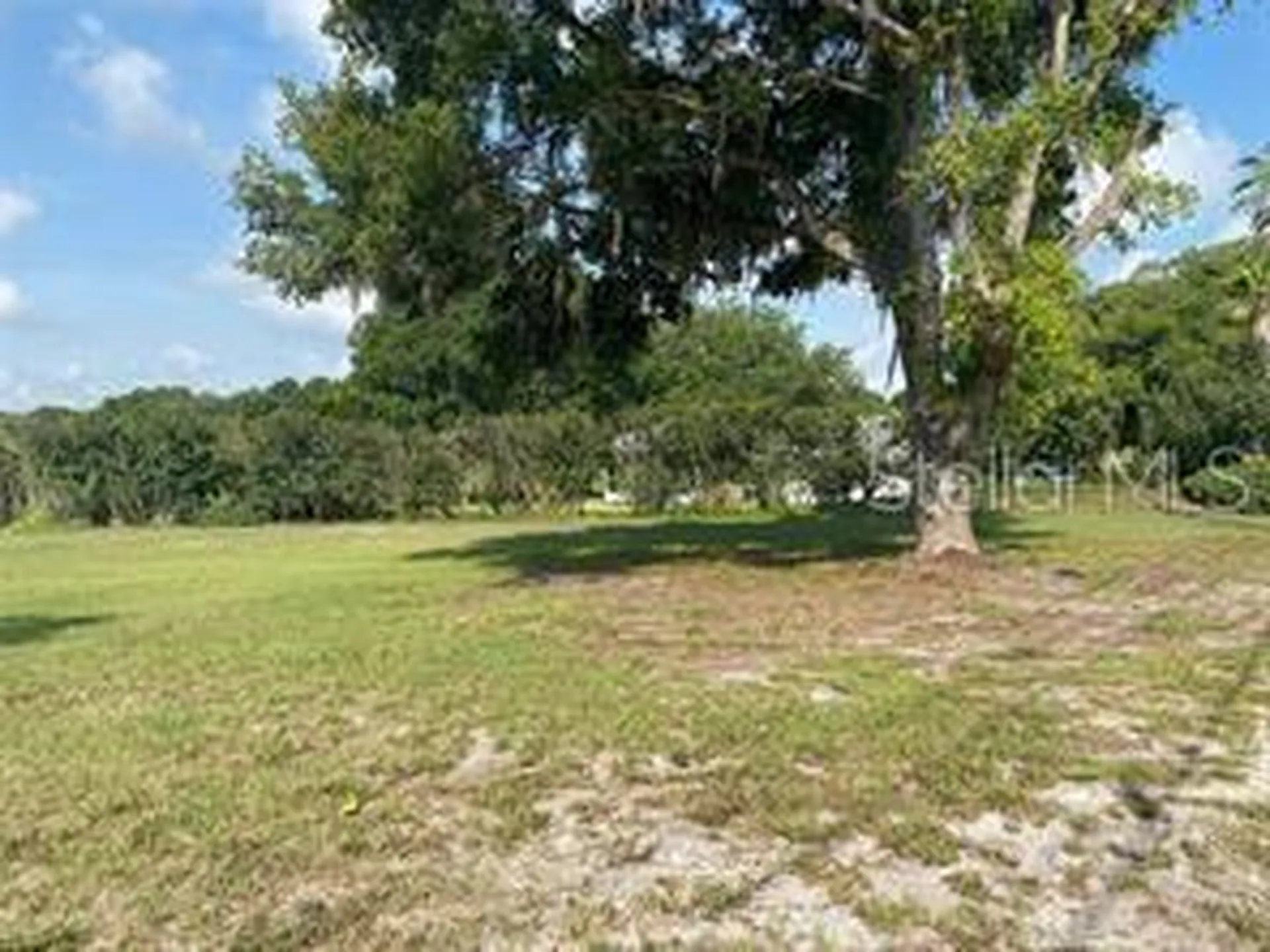 County Road 48 Yalaha FL 34797