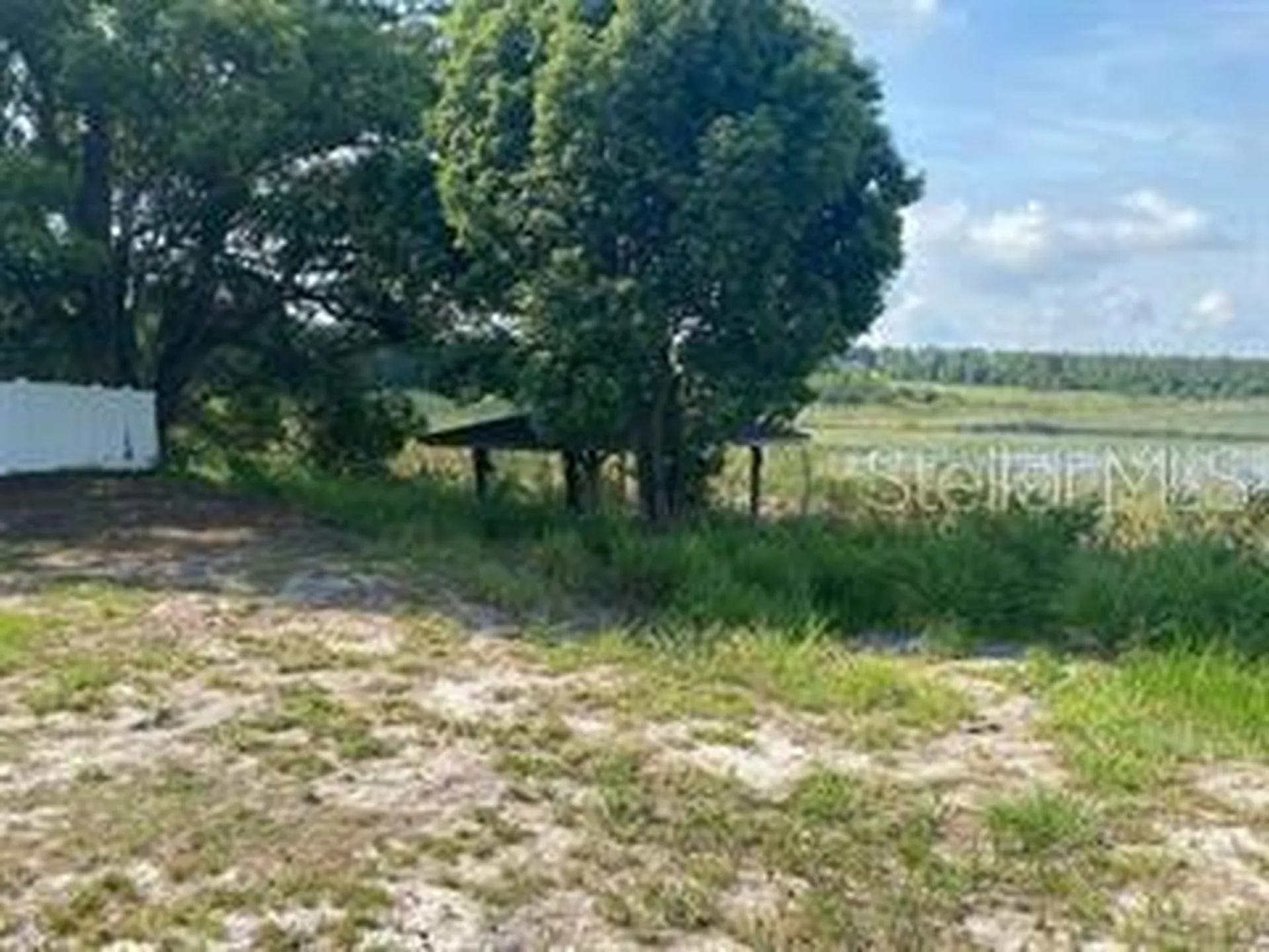 County Road 48 Yalaha FL 34797