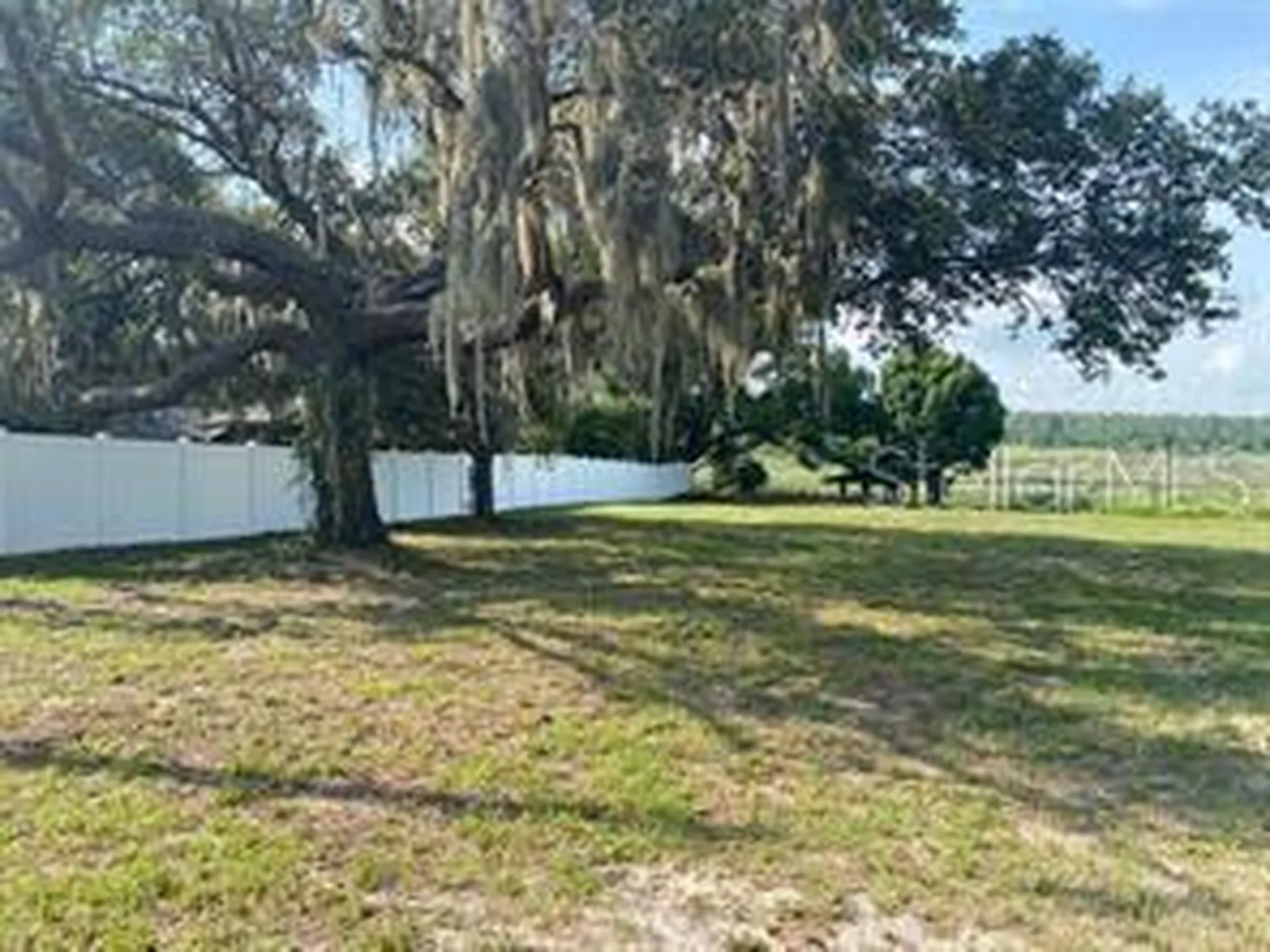County Road 48 Yalaha FL 34797