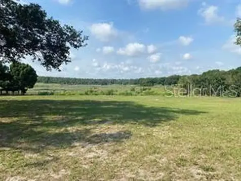 County Road 48 Yalaha FL 34797