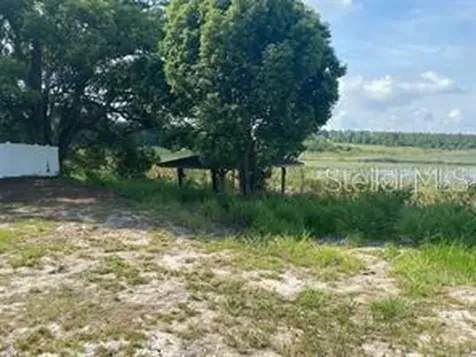 County Road 48 Yalaha FL 34797