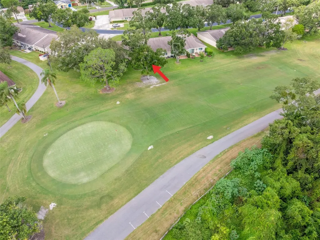 1012 Dunrobin Drive Palm Harbor FL 34684