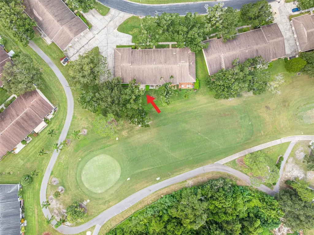 1012 Dunrobin Drive Palm Harbor FL 34684