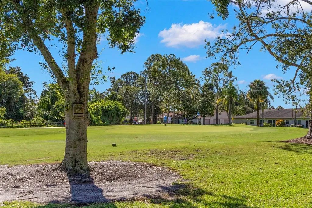 1012 Dunrobin Drive Palm Harbor FL 34684