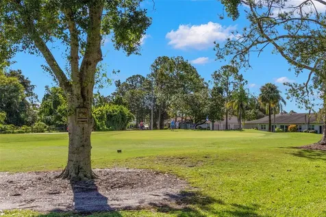 1012 Dunrobin Drive Palm Harbor FL 34684