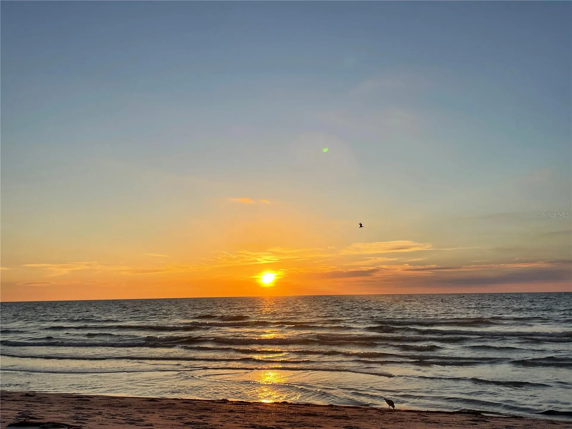 1290 Gulf Boulevard Clearwater FL 33767