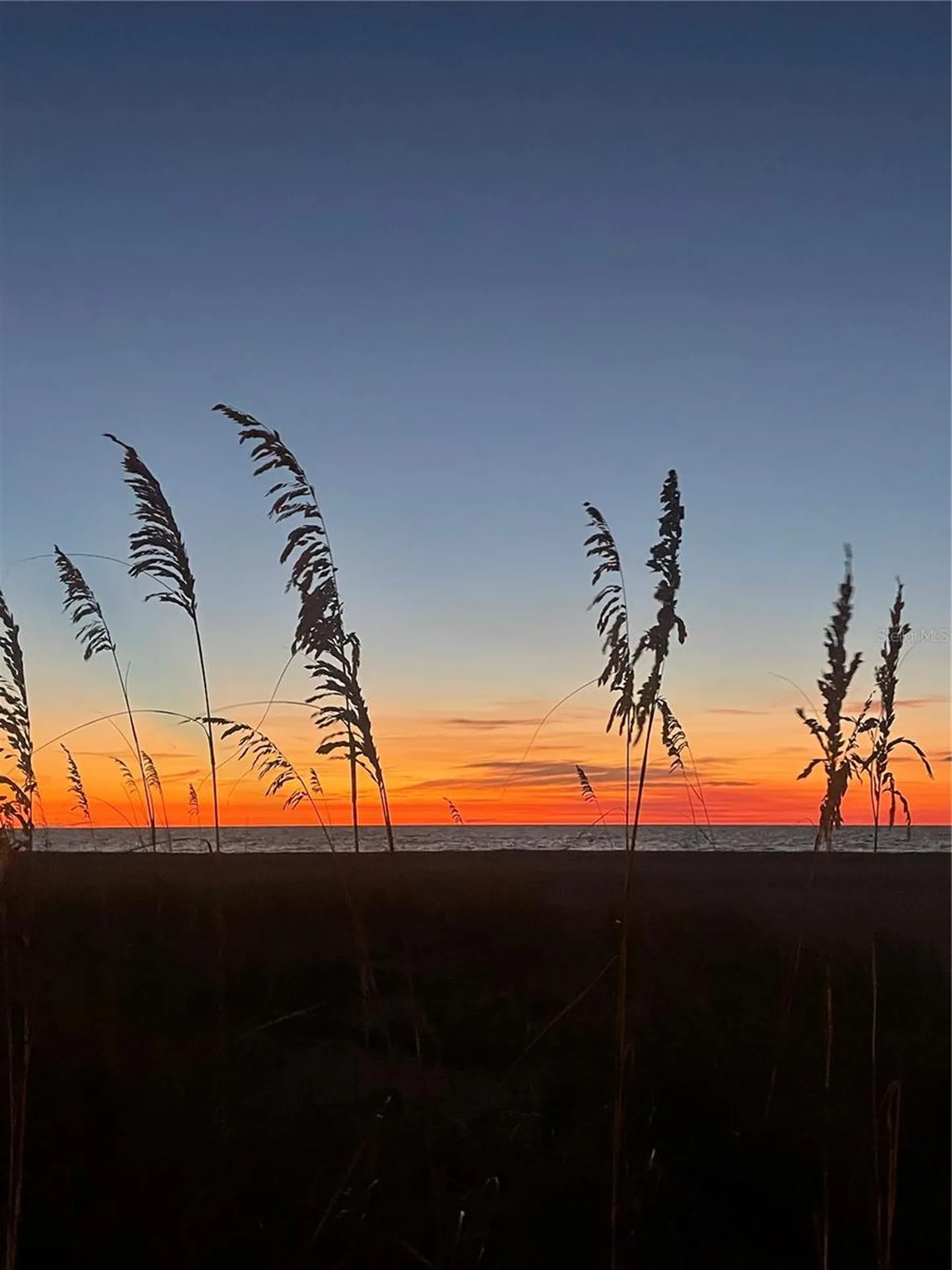 1290 Gulf Boulevard Clearwater FL 33767