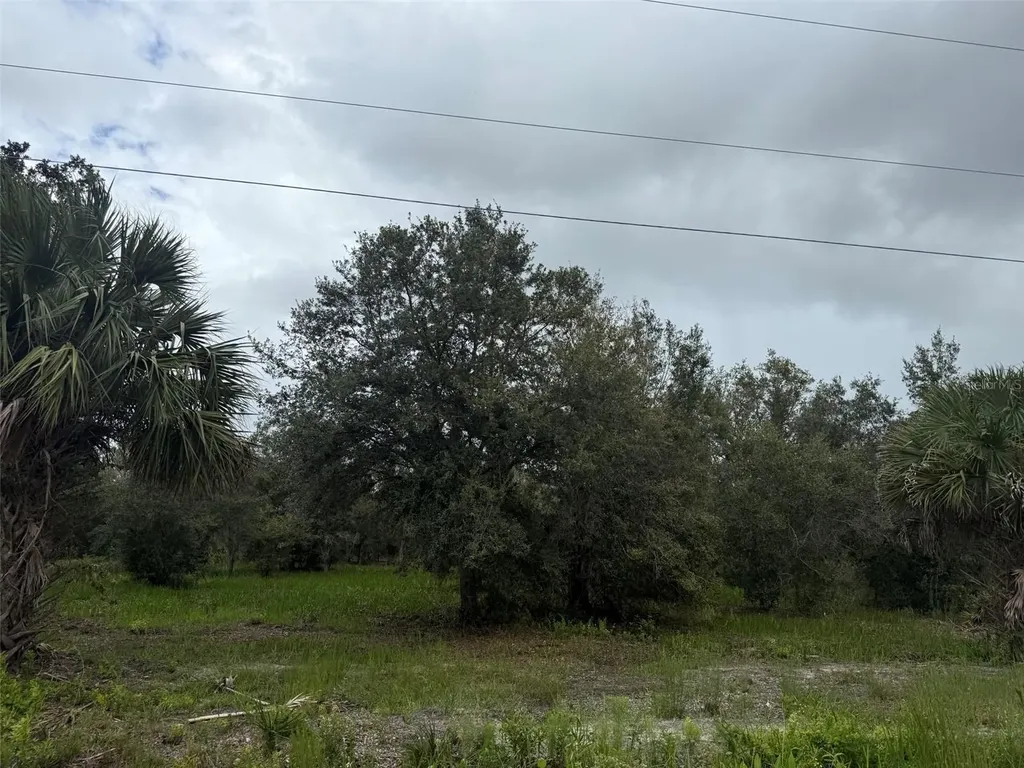 17915 NW 290th Street Okeechobee FL 34972