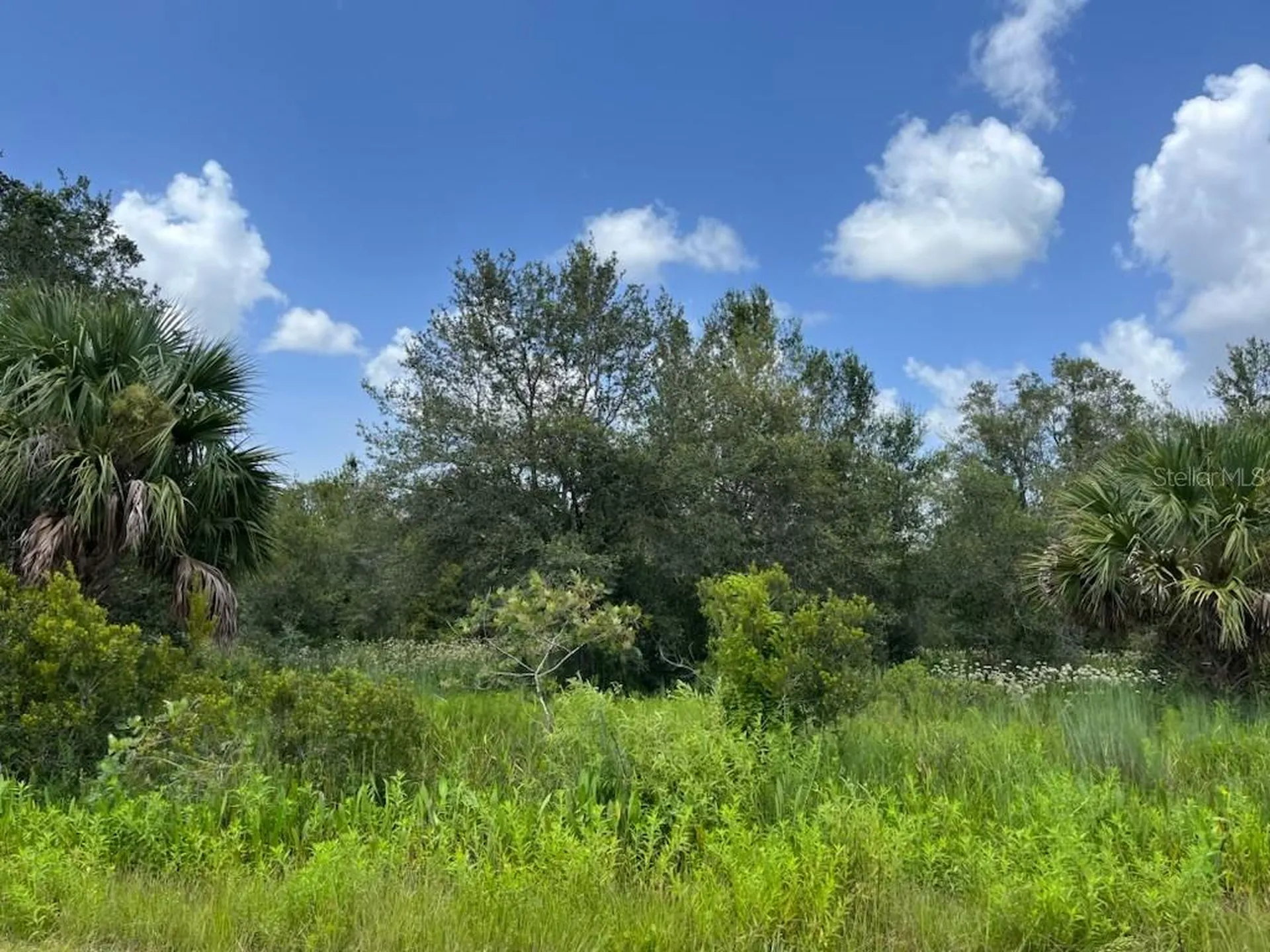 17915 NW 290th Street Okeechobee FL 34972