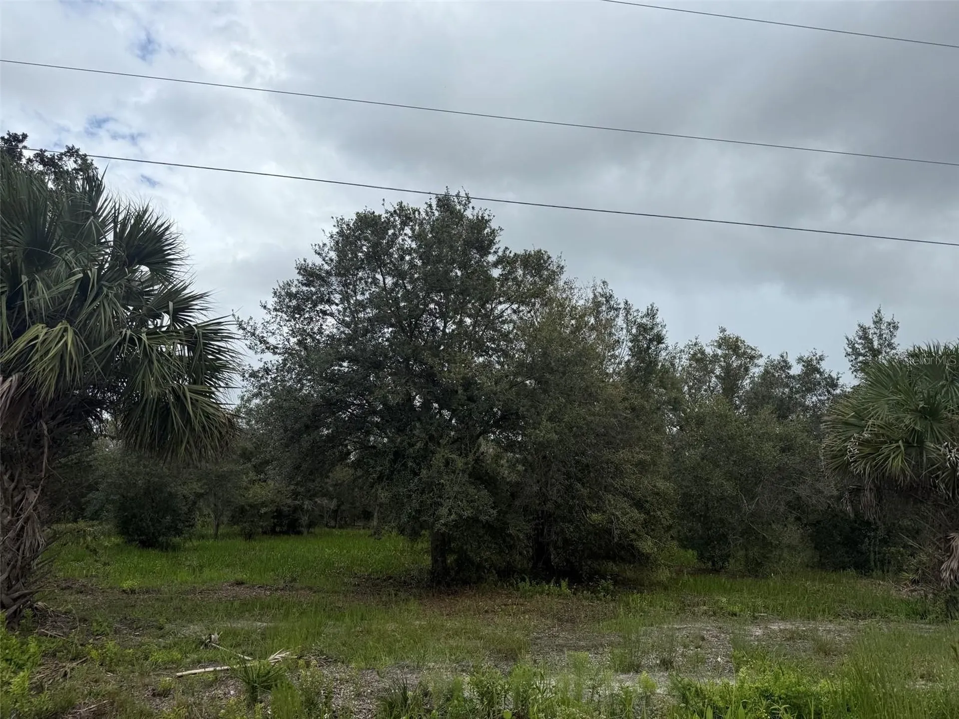 17915 NW 290th Street Okeechobee FL 34972